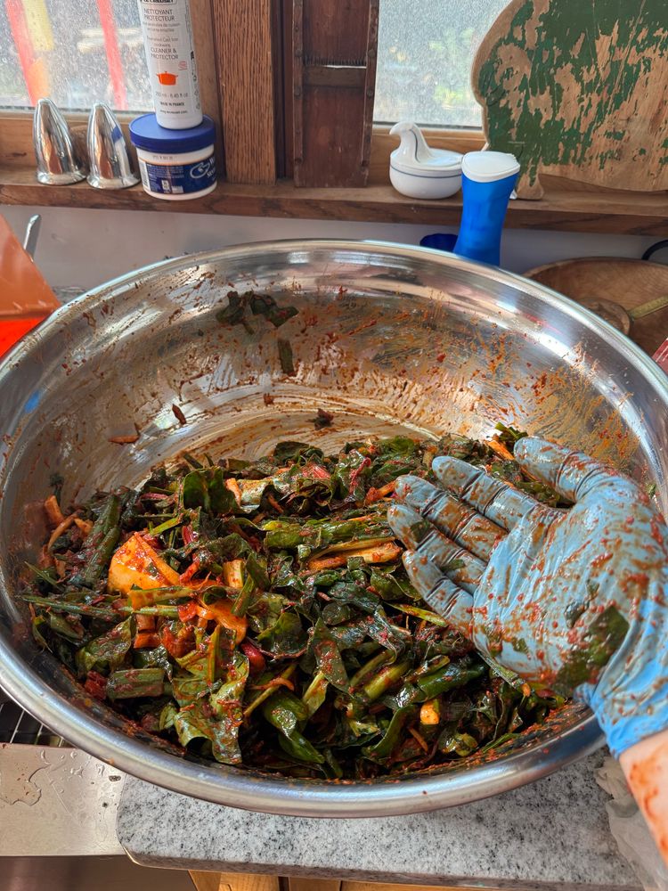 The same veggies, salted and seasoned for fermentation. An ineffectually-gloved hand points at it
