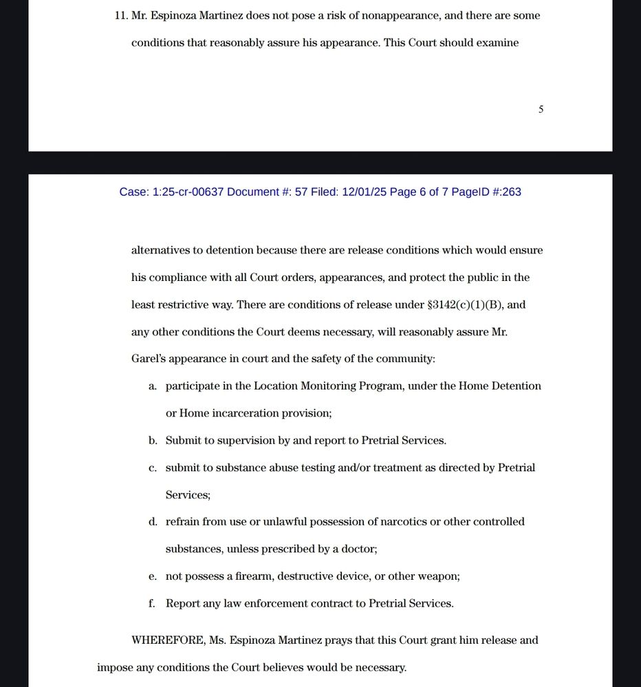 Image text:
Mr. Espinoza Martinez does not pose a risk of nonappearance, and there are some
conditions that reasonably assure his appearance. This Court should examine
 alternatives to detention because there are release conditions which would ensure
his compliance with all Court orders, appearances, and protect the public in the
least restrictive way. There are conditions of release under §3142(c)(1)(B), and
any other conditions the Court deems necessary, will reasonably assure Mr.
Garel’s appearance in court and the safety of the community:
a. participate in the Location Monitoring Program, under the Home Detention
or Home incarceration provision;
b. Submit to supervision by and report to Pretrial Services.
c. submit to substance abuse testing and/or treatment as directed by Pretrial
Services;
d. refrain from use or unlawful possession of narcotics or other controlled
substances, unless prescribed by a doctor;
e. not possess a firearm, destructive device, or other weapon;
f. Report any law enforcement contract to Pretrial Services.
WHEREFORE, Ms. Espinoza Martinez prays that this Court grant him release and
impose any conditions the Court believes would be necessary.