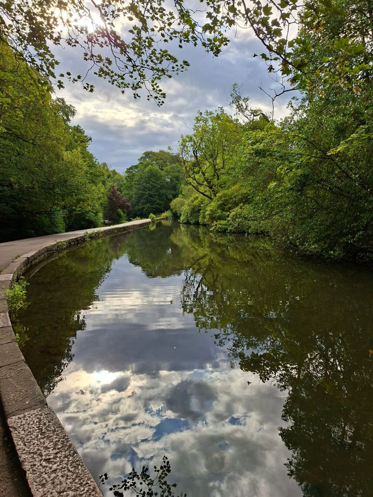 Sky reflected in large pond