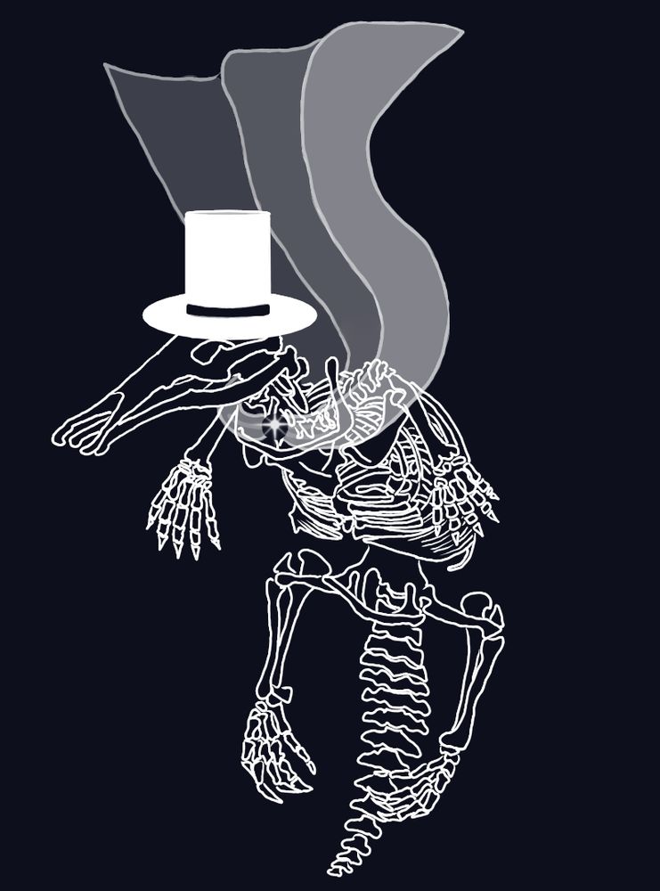 Digital art outline of a platypus skeleton, white lines on a dark navy blue background. The skeleton is wearing a white top hat, and has a translucent cape billowing above it, as though suspended in water.