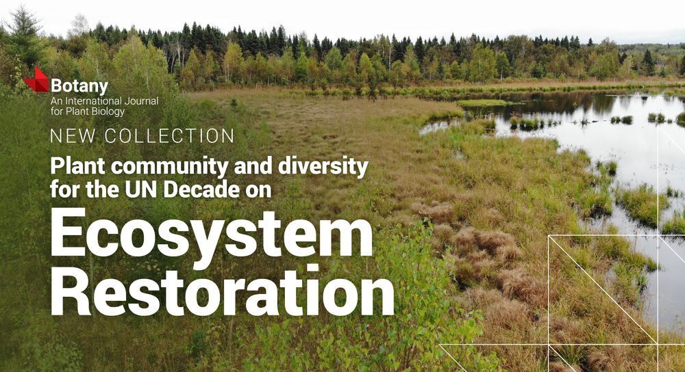 A lush wetland ecosystem with diverse grasses and a reflective water body surrounded by dense forest under a cloudy sky promoting the new Botany collection. 