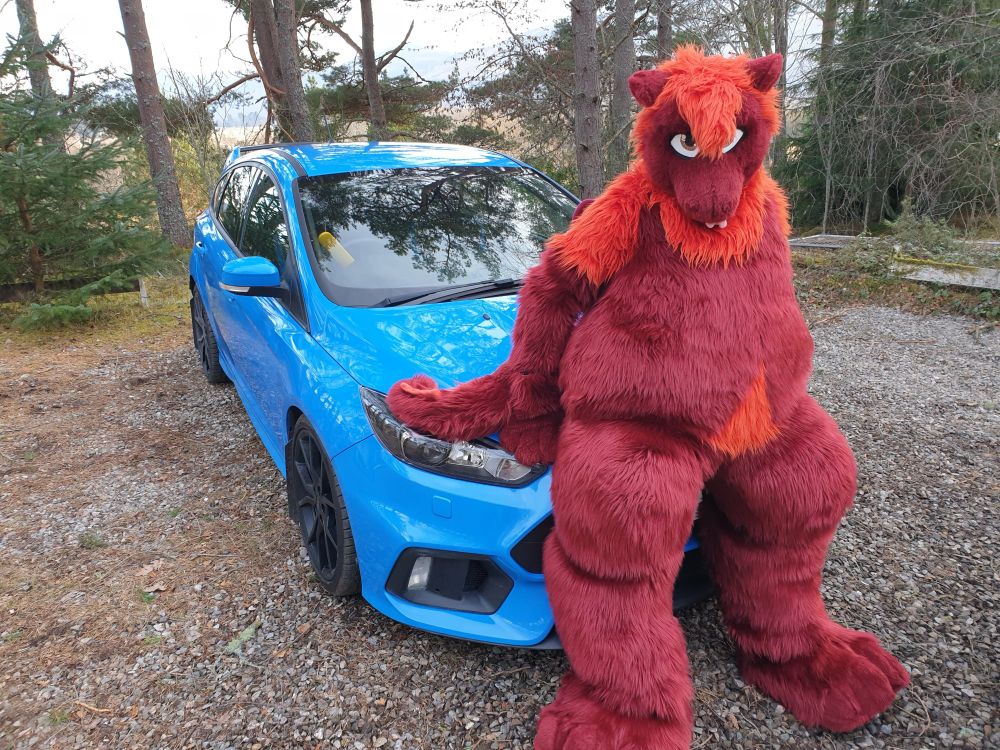 A fursuit of a chubby red dragon with an orange mane is sitting on the bonnet of a blue Mk3 Ford Focus RS car. In the background are some trees and the car is parked on gravel.