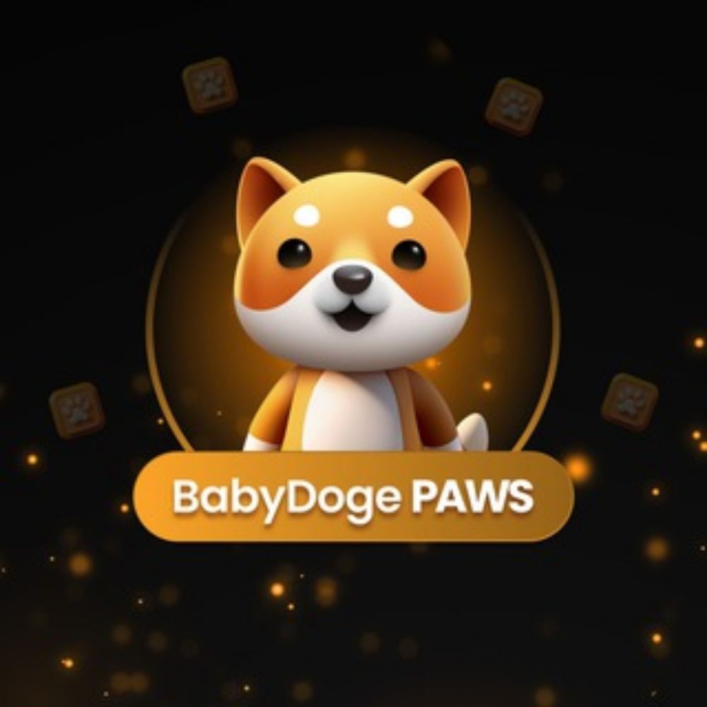 BabyDoge PAWS