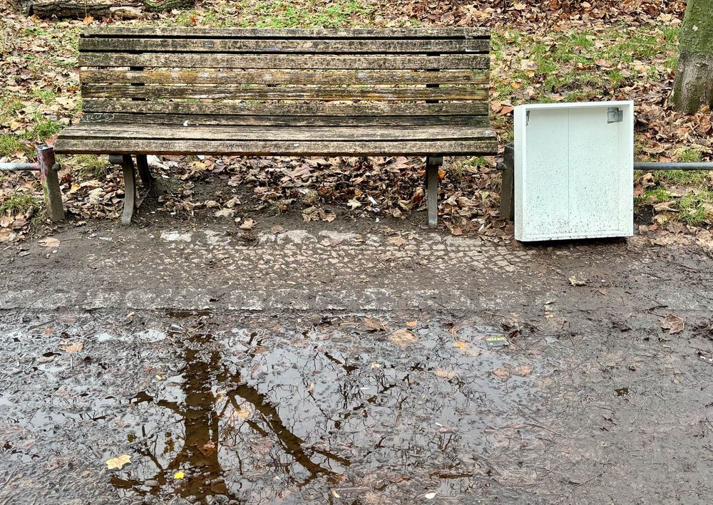 Hochkant stehende weiße Schublade rechts von einer verwitterten Holzbank. Spiegelung eines Baumes in der Pfütze vor der Bank.