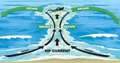 Image of rip current. When waves crash into the shore they must return to the ocean. A rip current is a current traveling back into the ocean. Waves will break on either side of the rip current, but the rip current will look smooth and clear and safe. However, once you are in it you will be pulled out to sea. Your instinct will be to fight the current and swim toward shore. Don't do that! Let it carry you out they usually release you not far from shore. As you feel the current ease it's grasp swim parallel to shore until you feel it let go completely. Once you hit waves again you can easily swim to shore. People die because they fight the current, grow tired and drown. Don't fight it!