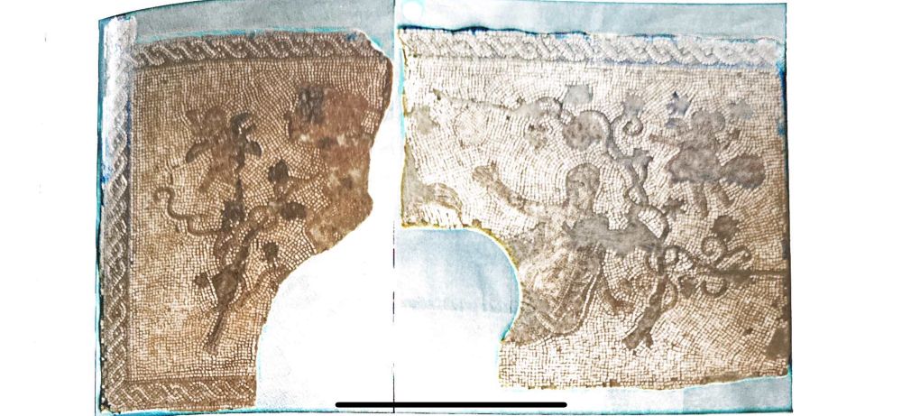 Photo of a damaged mosaic with grape vines and the figure of Ambrosia reaching out to Lycurgus with her right hand beseechingly