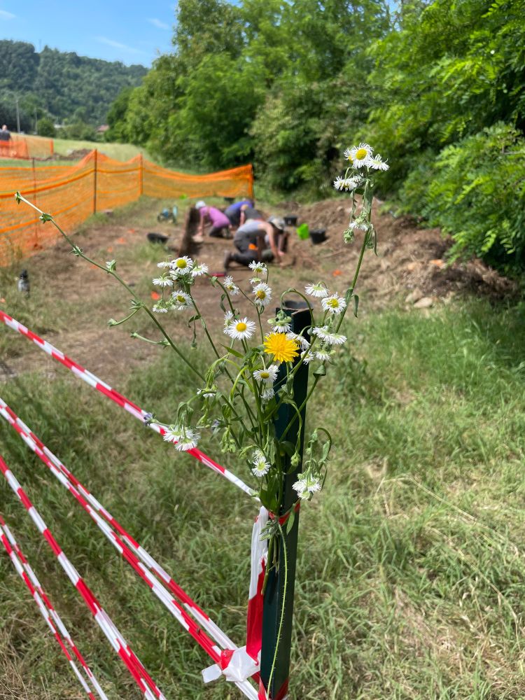View of a trench surrounded with orange safety fence and some flower pit on the post at the entrance.