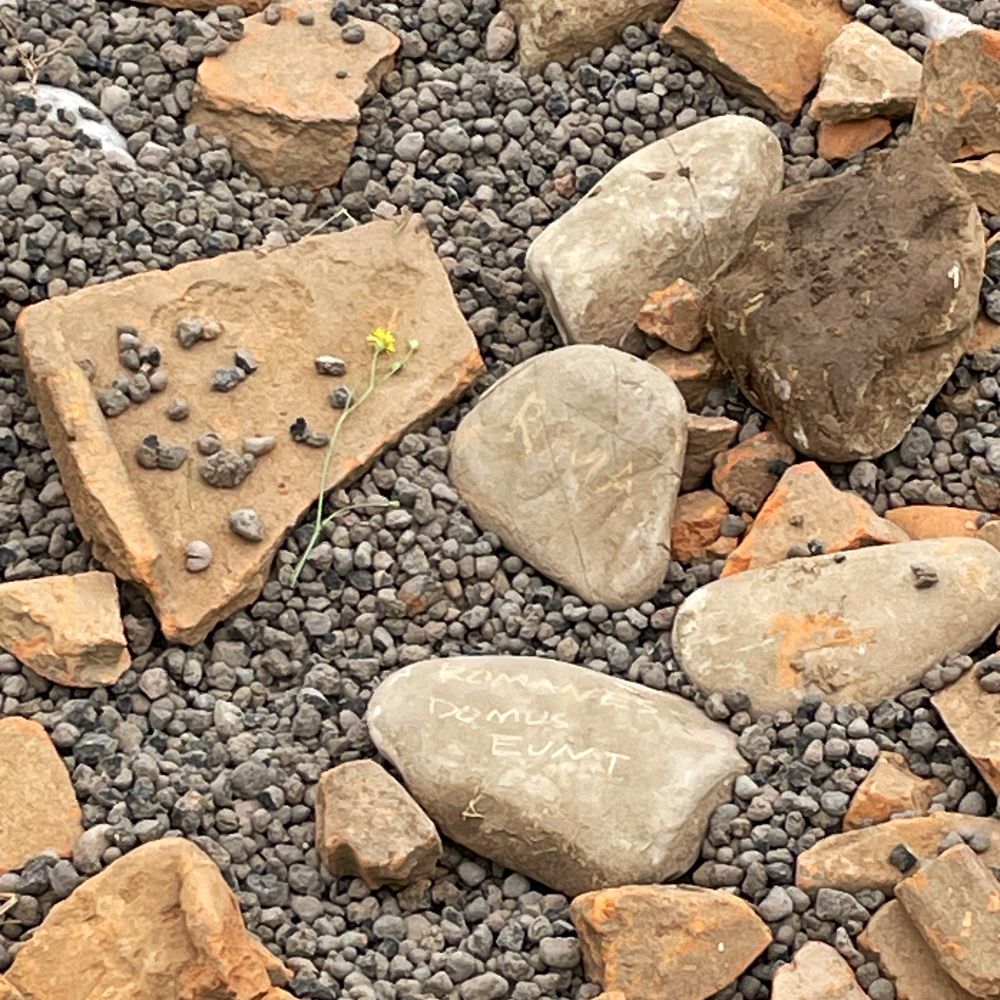 Photo of some tile and rock lying on argilla espansa. A yellow flower lies across a tile. One rock has been inscribed with chalk to read “Roma” and another says “Romanes Domus Eunt.”