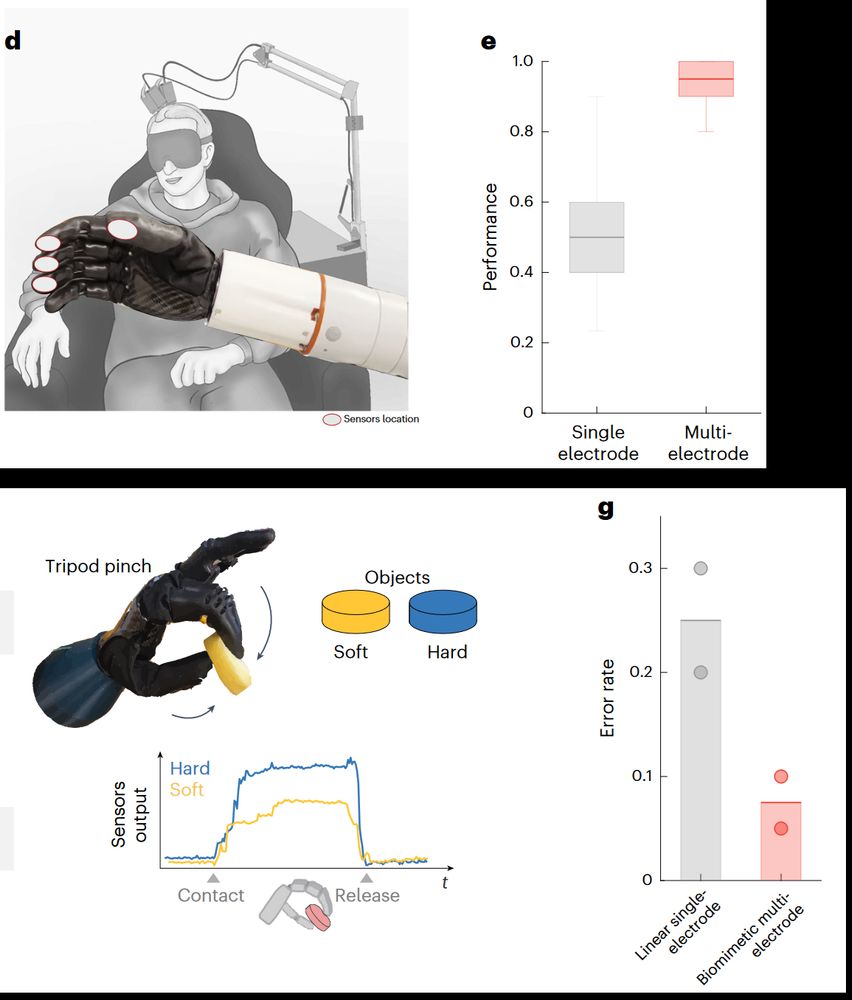 Figure showing how the above findings improve the utility of sensors on a robotic hand by increasing sensation clarity on the fingers and enabling detection of object softness when grasping.
