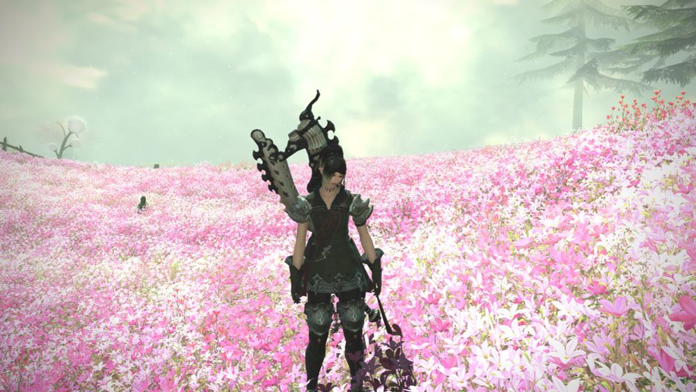 Arlia falling asleep from a narcolepsy spell 