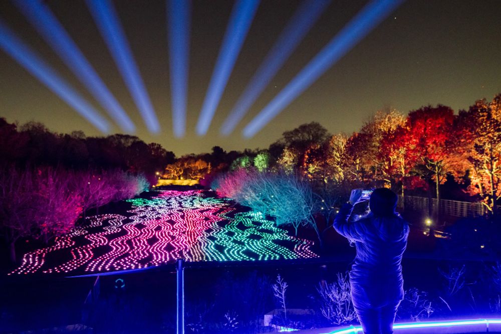 A person stands on a hill at nighttime during winter in front of an enormous display of lights situated on lawn hemmed on both sides by illuminated trees.