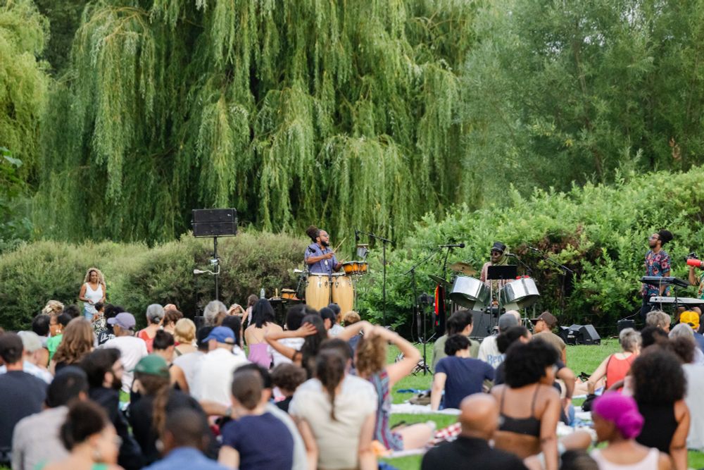 Three performers in festive shirts play instruments (congas, bongos, steel drums, keyboards, and more) in a green outdoor area seen from somewhat far away, playing in front of a tall green tree cascading with green foliage.