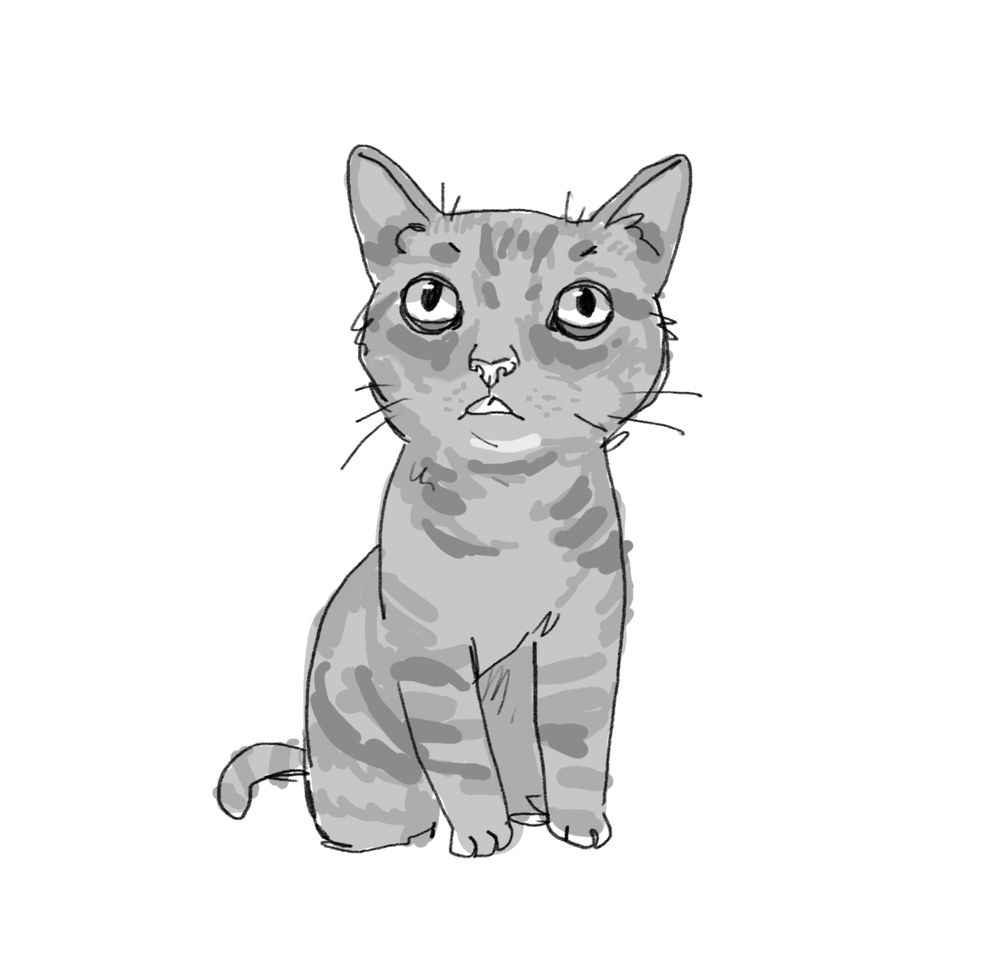 A drawing of Rufio the cat