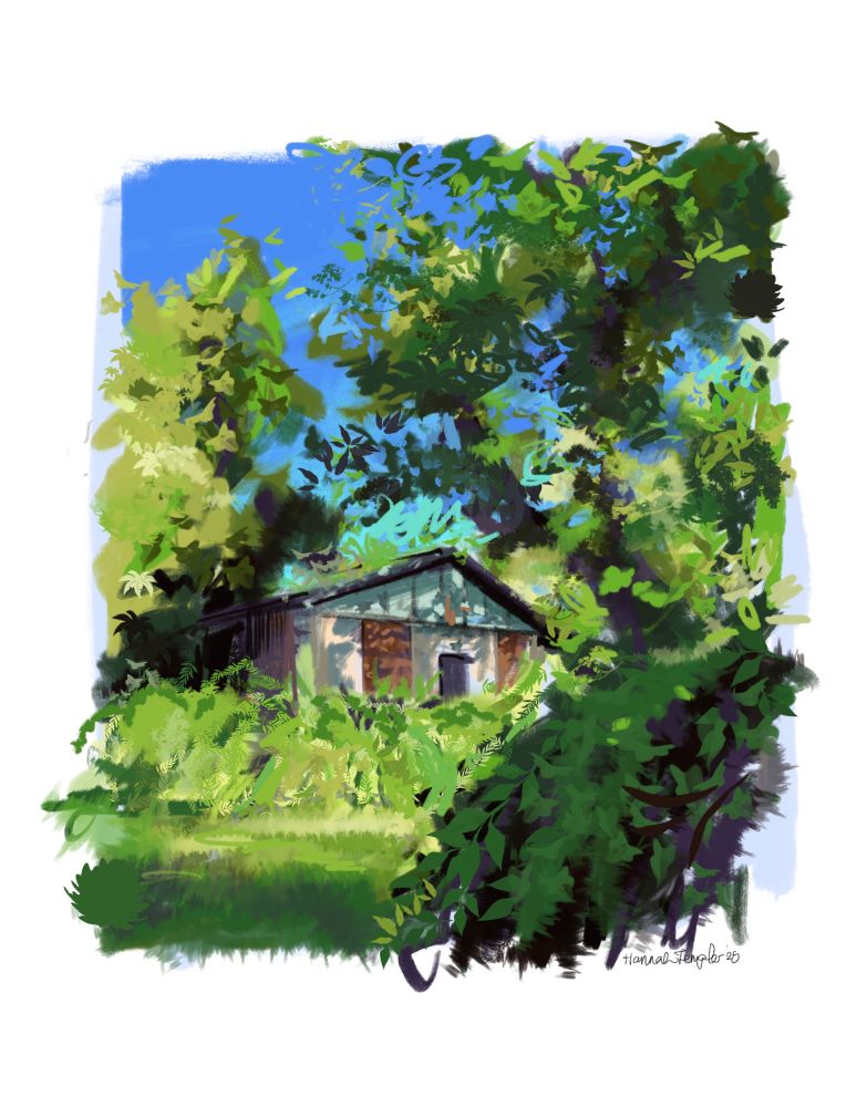 a painting of a shed in a sunny backyard filled with greenery on a beautiful summer day