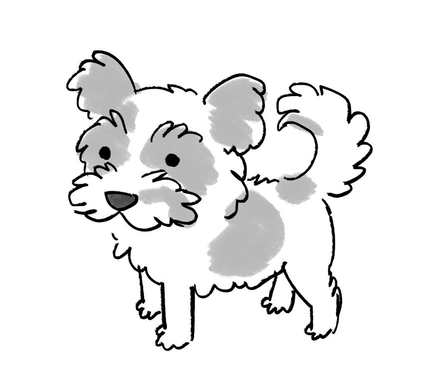 digital black and white sketch of a little fluffy white dog with brown patches
