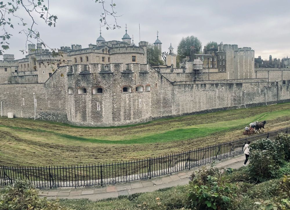 The Tower of London and its moat! (They had to drain the moat so that those horses could get excise or something)
