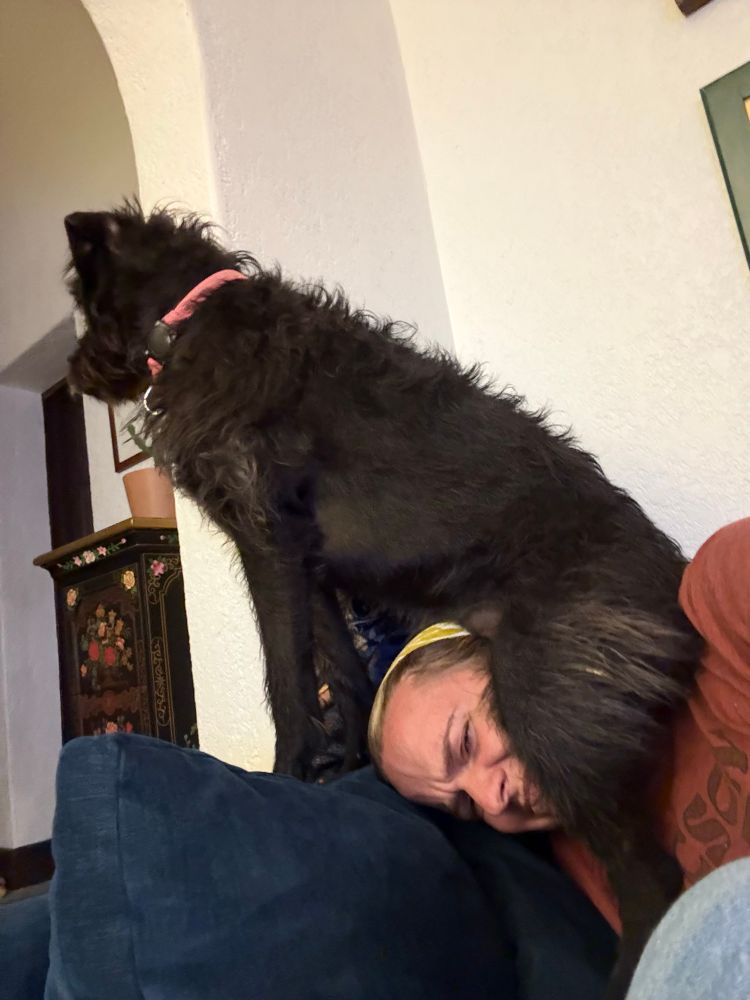 My dog with her full weight in her crotch on my face