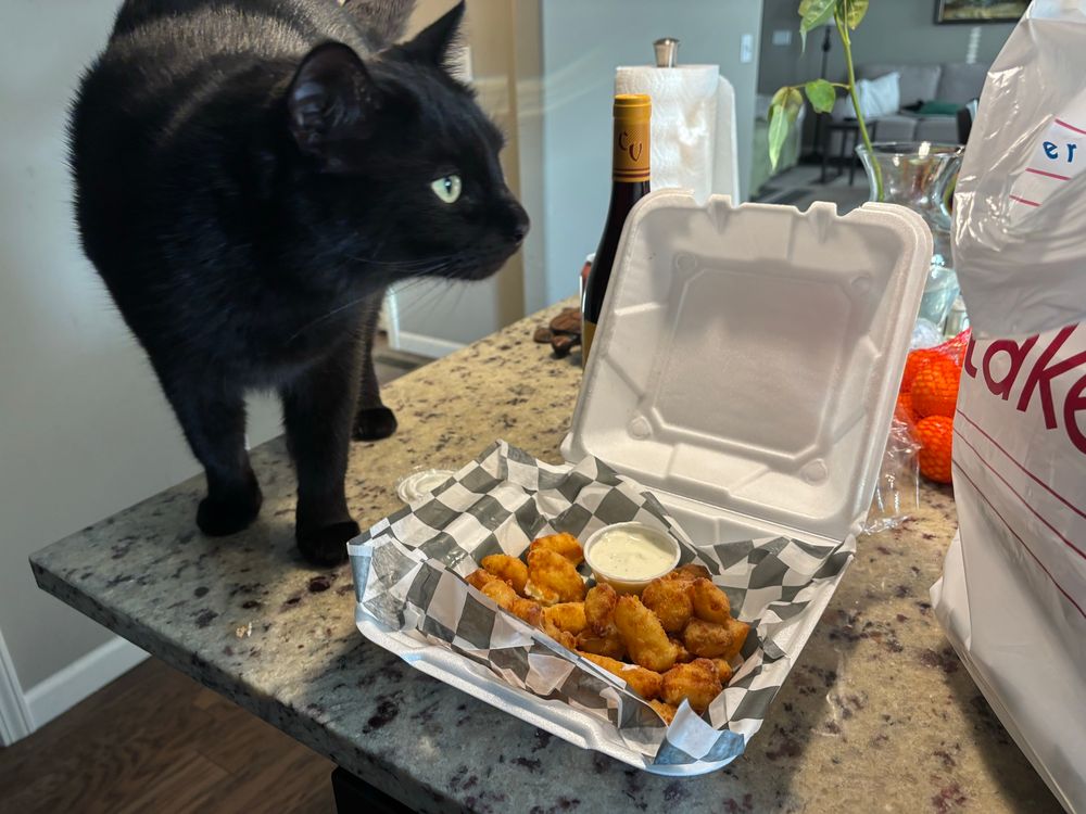 Scout checking out the cheese curds.