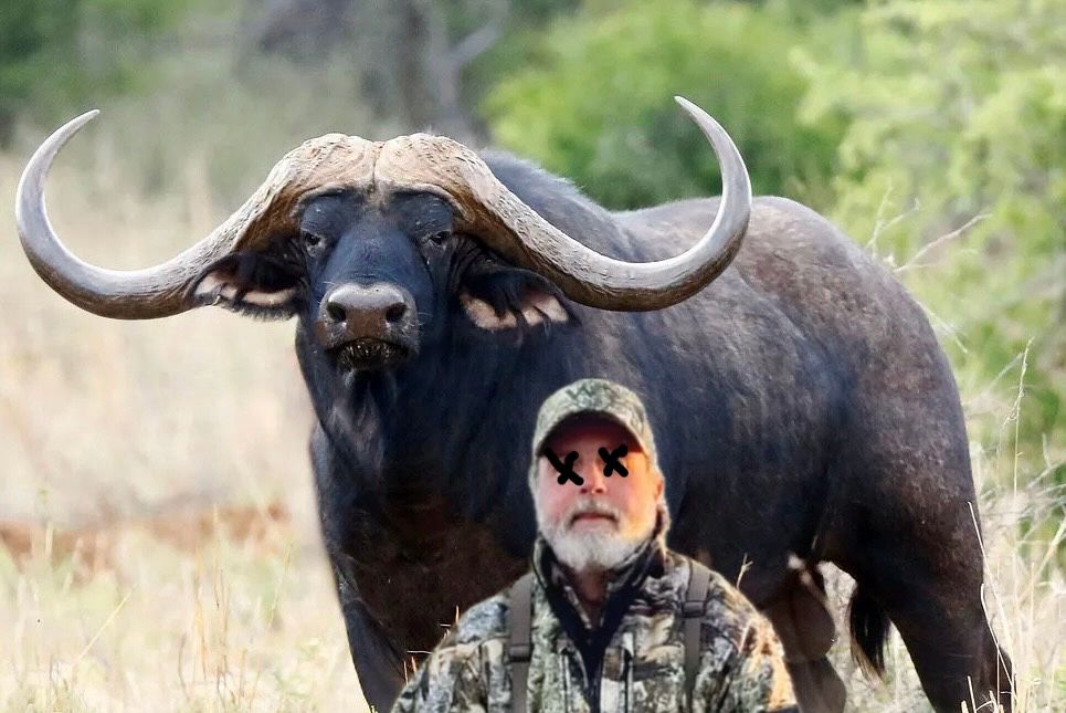 Water buffalo standing behind the hunter who has Xs over his eyes