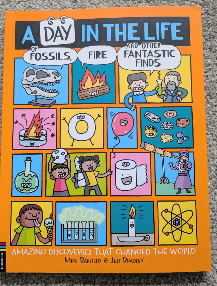 Cover for the book A Day in the Life of Fossils, Fire and Other Fantastic Finds 