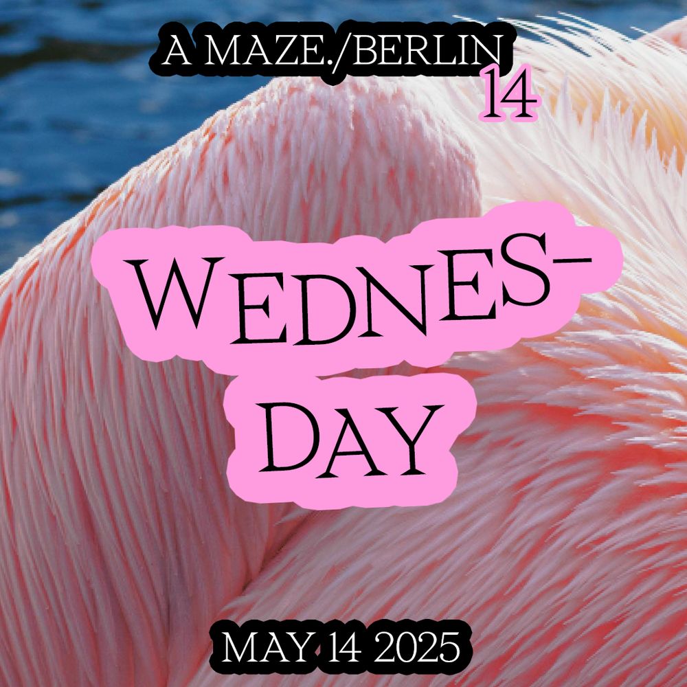 A MAZE. / BERLIN 14. WEDNESDAY. MAY 14 2025. Background image is a close-up of a flamingo's body with fluffly pink feathers.