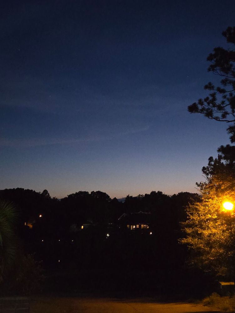 Dark sky fades from midnight blue to peach at sunset. Trees are silhouetted.   Street lamp to the right of the picture. 