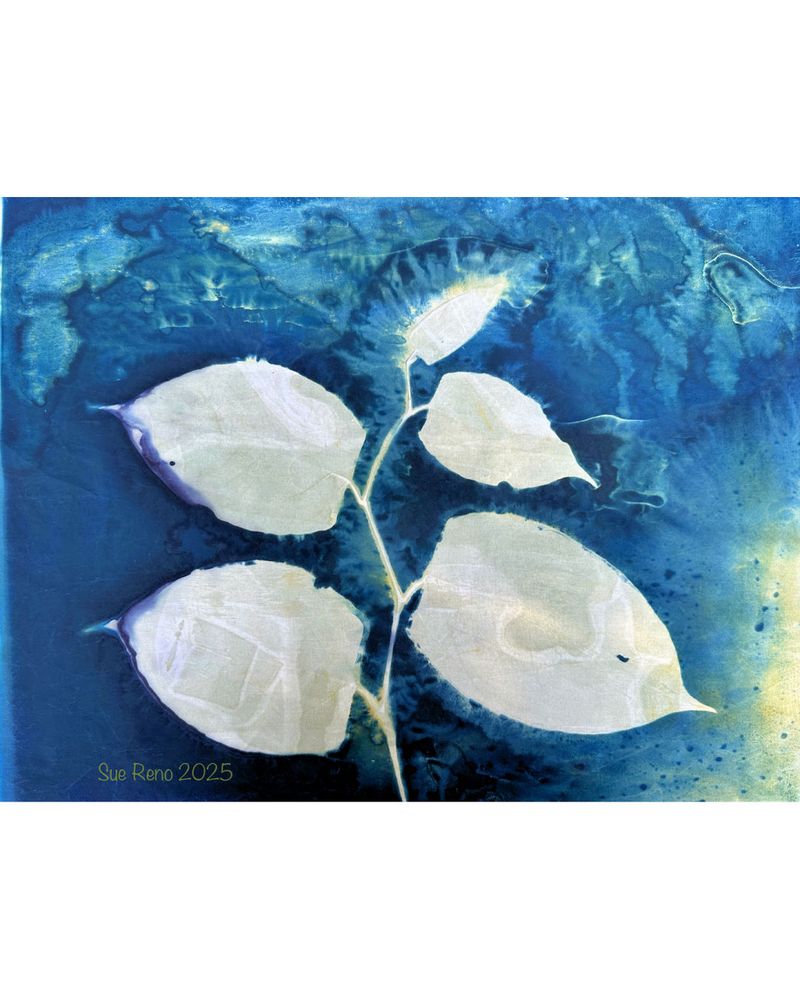Image of leaves printed with the wet cyanotype process, in colors of greens and blues.