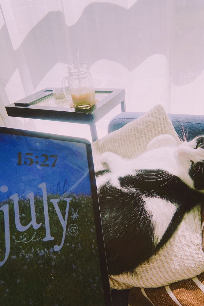 picture of my ipad with words july on the wallpaper, my tuxedo cat sleeping on a pillow next to me. there’s a beautiful bright sun coming through the windows
