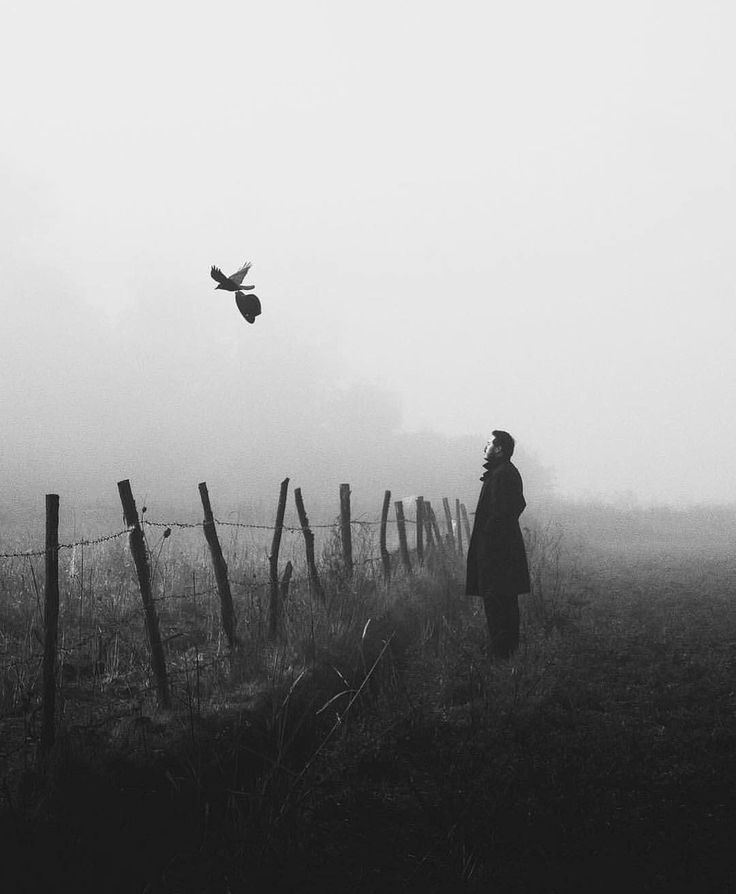 I don't care if you keep ignoring me. I will watch you and take care of your wounds, even if I've made some.