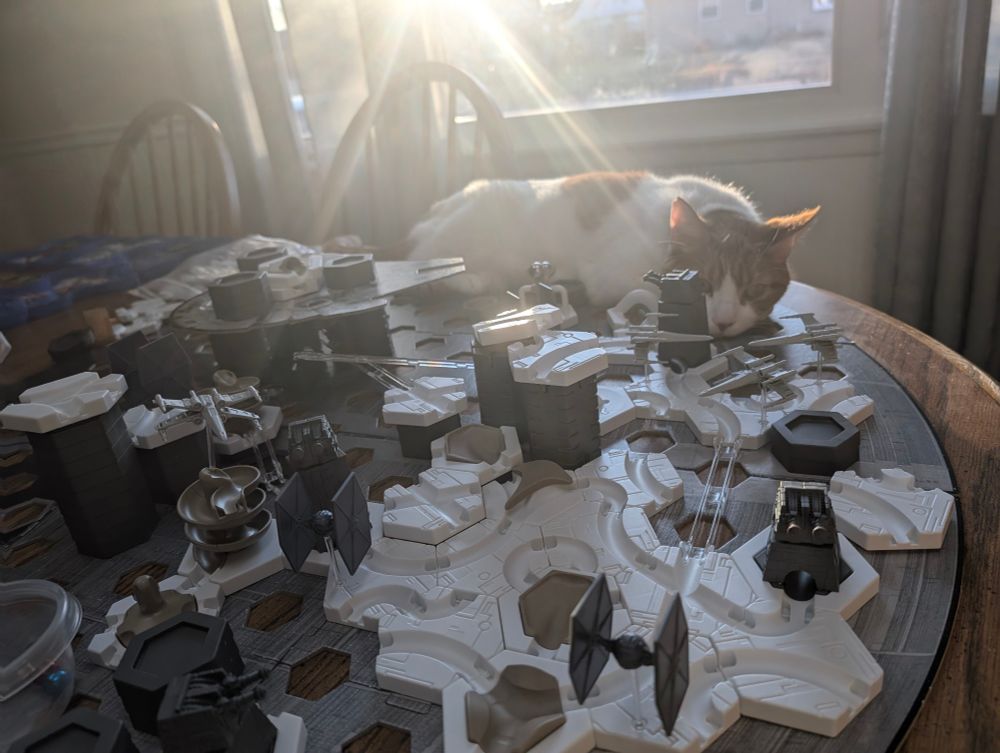 Cat looking at Gravitrax Star wars set loosely laid out on table. Yeah, both of them.