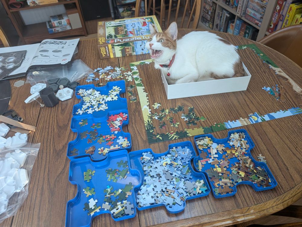 Orange and white cat City in the base of a puzzle box surrounded by the edges completed in the frame of the puzzle. To the lower left of the puzzle are puzzle piece trays that are blue and in the shape of puzzle pieces. The cat is looking up at the ceiling with its mouth open and teeth exposed. It happens to be chittering at a light reflected off a watch onto the ceiling
