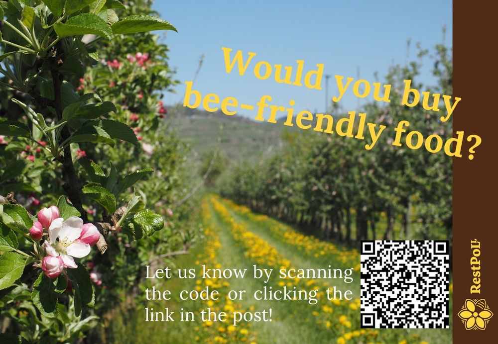 Apple orchard with flowerstrip between rows of trees. Texts says "Would you by bee-friendly food?"