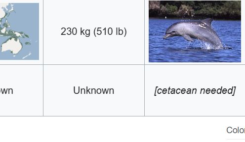 Wikipedia list chart with the phrase 'cetacean needed' where there is a missing photo for one of the dolphin species listed. 