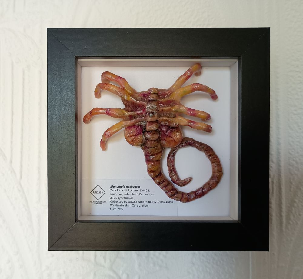 A photograph of a painted polymer clay replica of a facehugger from the movie Alien pinned and labelled in a deep black shadowbox frame.
There is a UN3373 biological substance category B label inside the frame. The label text reads: Manumala noxhydria. Zeta Reticulu System: LV-426. (Acheron, satellite of Calpamos). 37-39ly from Sol. Collected by USCSS Nostromo RN 180924609. Weyland-Yutani Corporation. 03. vi.2122.
 Art by Emily Jane Foster 