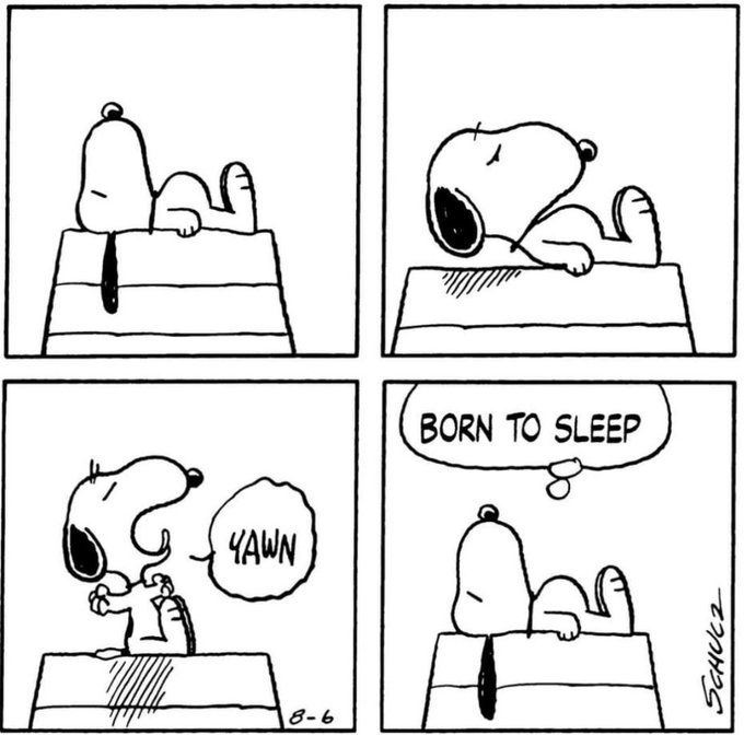 Snoopy Born to sleep