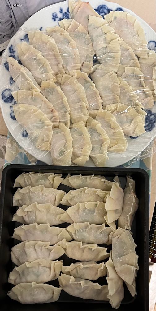 投稿者が作った、40個ほどの包んだ状態の餃子たち