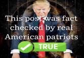 extremely low quality This post was fact checked by real American patriots TRUE meme with the late donald j 
