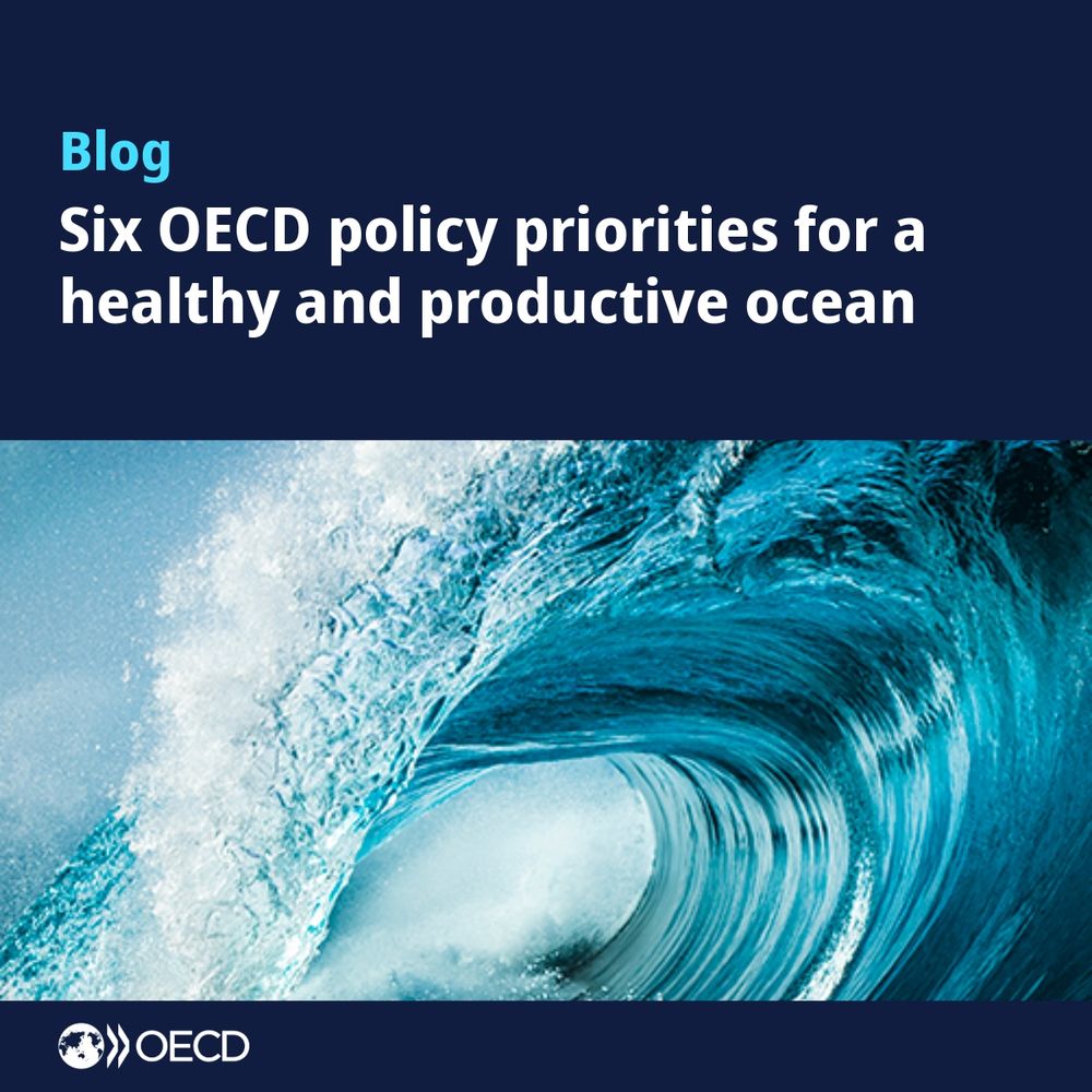 Blog: Six OECD policy priorities for a healthy and productive ocean