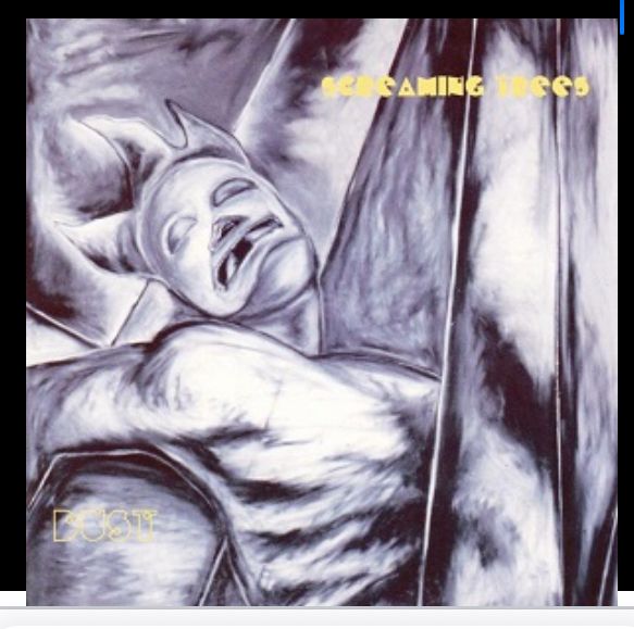 The cover of the 1996 album “Dust” by Screaming Trees