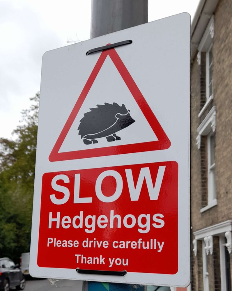 A sign tied to a lamppost reading "slow hedgehogs please drive carefully thank you"