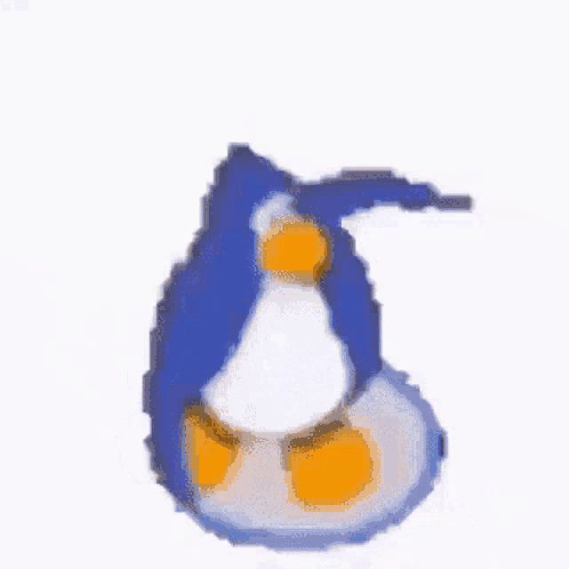 a blue penguin with orange feet and a long tail .