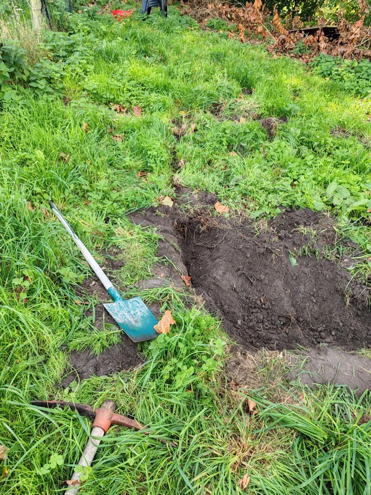 Le début du creusement de la mare 