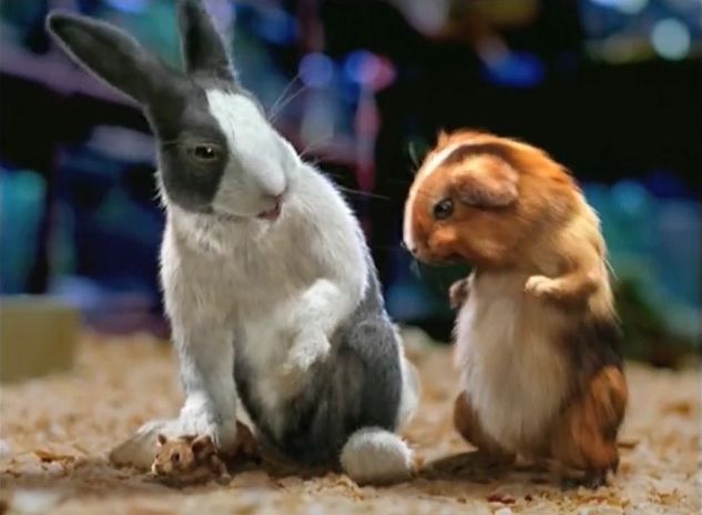 Carl trying to click a (live) mouse