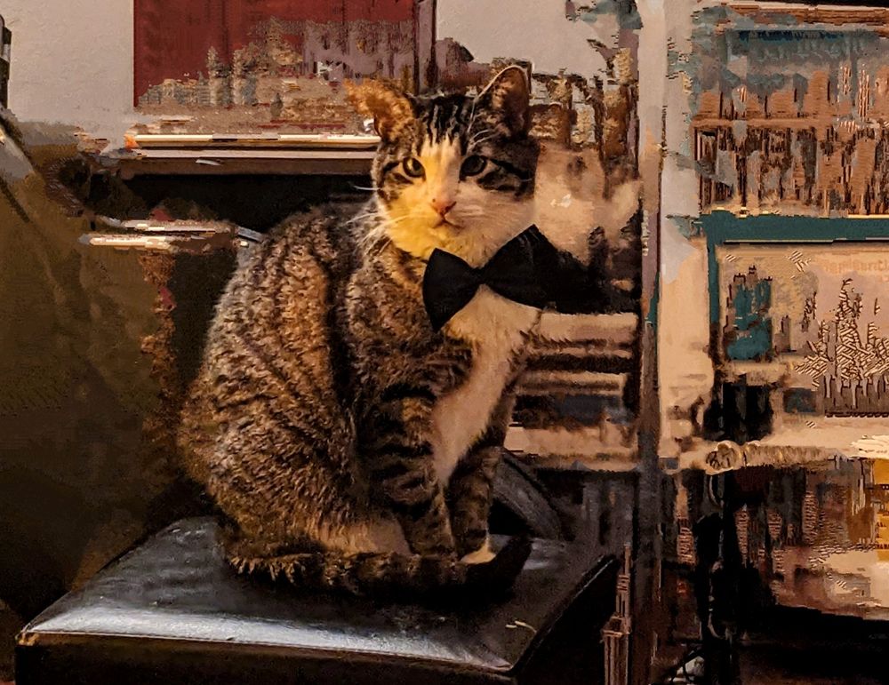 An image of a cat wearing a bowtie