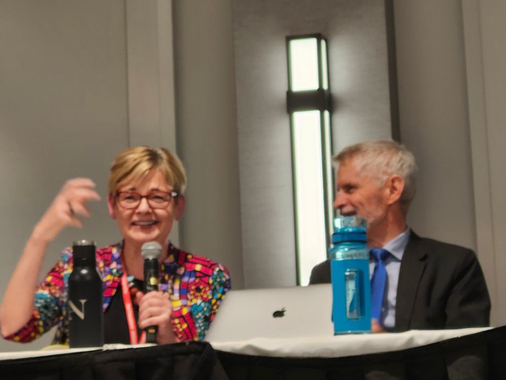 Maria Ivanova speaking at the Distinguished Scholar Award Panel honoring Ben Cashore at ISA 2025