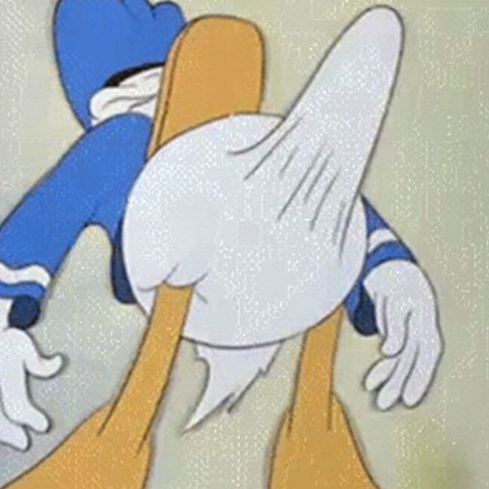 Meme do Pato Donald parecendo que tem uma ereção