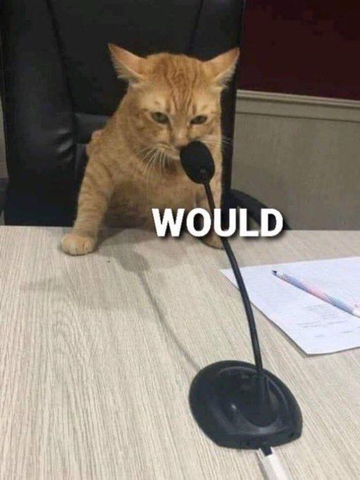 Cat testifying that he would.