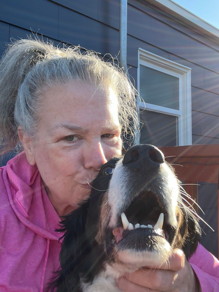 woman kissing head of sprinter spaniel 