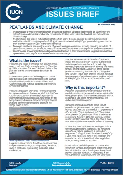 Peatlands and climate change