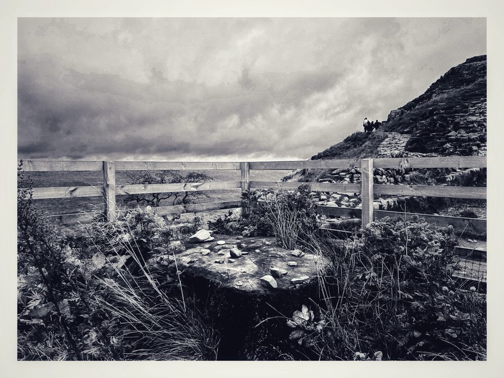 Black and white photo of the stump of the Sycamore Gap along Hadrian’s Wall, Northumberland showing saplings sprouting from its stump with hand-painted stones. The tree stump is bounded by a wooden fence & leading to a cloudy sky and a hill on the right